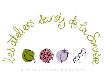 Les ateliers secrets de la Sorcière